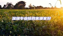深圳專業除四害哪家好