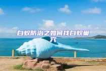 白蟻防治之如何找白蟻巢穴