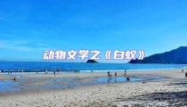 動(dòng)物文學(xué)之《白蟻》