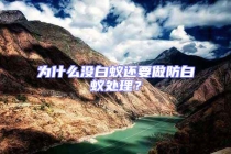 為什么沒白蟻還要做防白蟻處理？