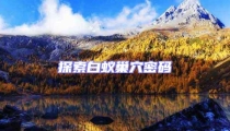 探索白蟻巢穴密碼