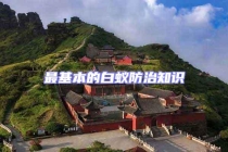 最基本的白蟻防治知識