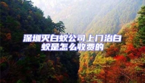 深圳滅白蟻公司上門(mén)治白蟻是怎么收費(fèi)的