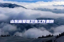 山東省愛國衛生工作條例
