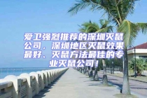 愛(ài)衛(wèi)強(qiáng)烈推薦的深圳滅鼠公司，深圳地區(qū)滅鼠效果最好、滅鼠方法最佳的專業(yè)滅鼠公司！