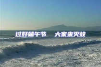 過好端午節(jié)  大家來滅蚊