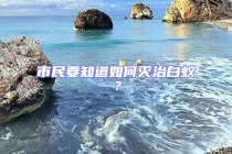 市民要知道如何滅治白蟻？
