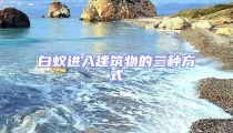 白蟻進入建筑物的三種方式