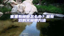 家里有蟑螂怎么辦？最有效的滅蟑螂方法