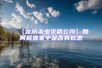 【龍崗殺蟲滅鼠公司】如何檢查家中是否有蟻患