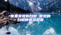 家里發(fā)現(xiàn)有白蟻 常見(jiàn)的白蟻種類及危害