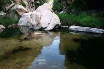 深圳消殺哪里有殺白蟻，居民如何預防白蟻