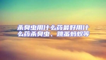 殺臭蟲用什么藥最好用什么藥殺臭蟲、跳蚤螞蟻等