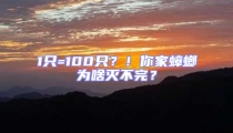 1只=100只？！你家蟑螂為啥滅不完？