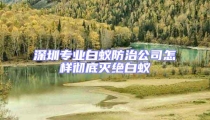 深圳專業白蟻防治公司怎樣徹底滅絕白蟻