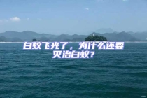白蟻飛光了，為什么還要滅治白蟻？