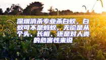 深圳消殺專業殺白蟻，白蟻可不是螞蟻，無論是從個頭、長相、還是對人類的危害性來說