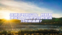 深圳滅螞蟻公司：螞蟻有哪些讓人值得學習的生活習性和品質？