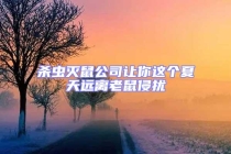 殺蟲滅鼠公司讓你這個夏天遠(yuǎn)離老鼠侵?jǐn)_
