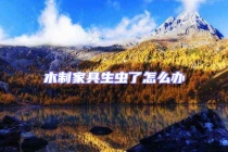 木制家具生蟲了怎么辦