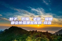 蚊子、蒼蠅、老鼠、蟑螂都會(huì)傳播哪些疾病-均治