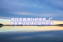 昔日農都遭白蟻侵襲 廣西農事試驗場舊址待修繕