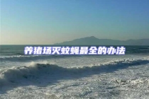 養豬場滅蚊蠅最全的辦法