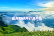 園林白蟻簡(jiǎn)介及防治