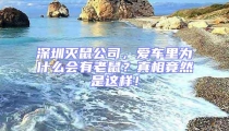 深圳滅鼠公司，愛車里為什么會有老鼠？真相竟然是這樣！