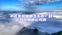 小區(qū)發(fā)現(xiàn)蟑螂怎么辦？趕緊找滅蟑螂公司啊