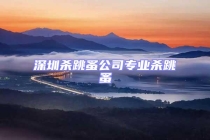 深圳殺跳蚤公司專業殺跳蚤