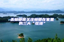 殺蟑螂需關注蟑螂在家里的三大“駐地”