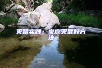 滅鼠實踐：家庭滅鼠好方法
