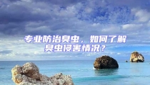 專業(yè)防治臭蟲，如何了解臭蟲侵害情況？