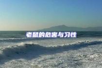 老鼠的危害與習(xí)性