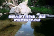 蟑螂占領了我的家，家庭滅蟑螂有什么辦法