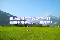 史上最酷打蒼蠅姿勢，打蒼蠅專用手槍，一槍斃命！