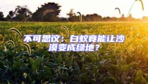 不可思議：白蟻竟能讓沙漠變成綠地？