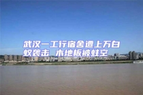 武漢一工行宿舍遭上萬白蟻襲擊 木地板被蛀空