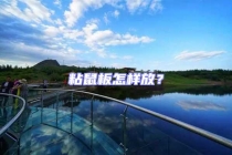 粘鼠板怎樣放？