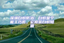 深圳白蟻防治：白蟻是個能工巧匠，它修筑白蟻隧道