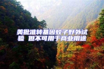 美批準(zhǔn)轉(zhuǎn)基因蚊子野外試驗 但不可用于商業(yè)用途