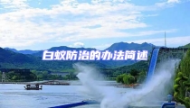 白蟻防治的辦法簡(jiǎn)述