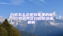 白蟻怎么會爬到家里的呢？廣州越秀區(qū)白蟻防治來解析