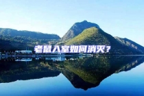 老鼠入室如何消滅？