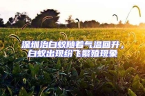 深圳治白蟻隨著氣溫回升，白蟻出現(xiàn)紛飛繁殖現(xiàn)象