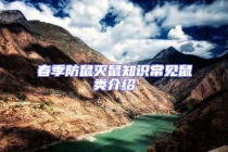 春季防鼠滅鼠知識(shí)常見(jiàn)鼠類介紹