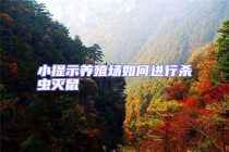 小提示養殖場如何進行殺蟲滅鼠