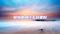 除蟑螂用什么效果好