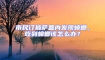 市民訂披薩盒內發(fā)現(xiàn)蟑螂，吃到蟑螂該怎么辦？